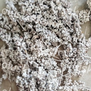 Cirok ágacska, 3 színben, 30gr./cs. - kellékek & szerszámok - dekorációs kellékek - egyéb kellékek - Meska.hu