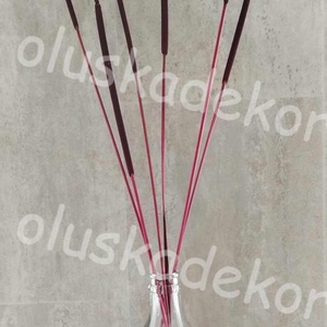 Indiai typha, szárított dekorációs növény, 65 - 80cm - kellékek & szerszámok - dekorációs kellékek - egyéb kellékek - Meska.hu