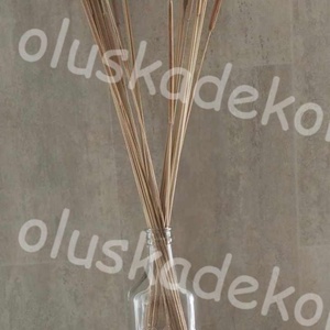 Indiai typha, szárított dekorációs növény, 65 - 80cm - kellékek & szerszámok - dekorációs kellékek - egyéb kellékek - Meska.hu