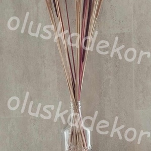 Indiai typha, szárított dekorációs növény, 65 - 80cm - kellékek & szerszámok - dekorációs kellékek - egyéb kellékek - Meska.hu