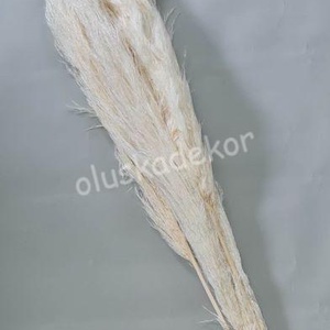 Pampafű 120cm fehérített, Kellékek & szerszámok, Dekorációs kellékek, Egyéb kellékek, Mindenmás, Virágkötés, FN-7095. Pampafű 120cm fehérített​, 40 - 70cm buga

Az ár 1 szál növényre vonatkozik !

TERMÉKEIM K..., MESKA