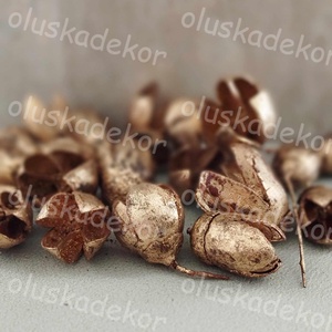 Bakuli, száraztermés, ezüst, bronz, pezsgő, dekorációs alapanyag, 50gr./cs. - kellékek & szerszámok - dekorációs kellékek - egyéb kellékek - Meska.hu