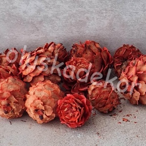 Salignum, natúr és színes, termés, száraztermés, dekor, 30gr/cs. - kellékek & szerszámok - dekorációs kellékek - egyéb kellékek - Meska.hu