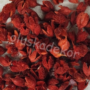 Bükk kupacs  több színben, 50gr./cs. - kellékek & szerszámok - dekorációs kellékek - egyéb kellékek - Meska.hu