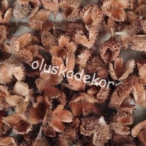 Bükk kupacs  több színben, 50gr./cs. - Meska.hu
