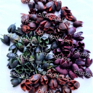 Bakuli, termés, száraztermés, dekor, sok szín, 50gr./cs. - kellékek & szerszámok - dekorációs kellékek - egyéb kellékek - Meska.hu