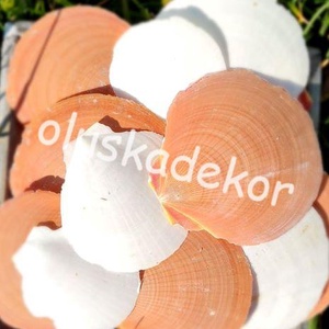 Amusium kagyló, barack, fehér vegyes csomag, 100gr./cs., Kellékek & szerszámok, Dekorációs kellékek, Egyéb kellékek, , MESKA