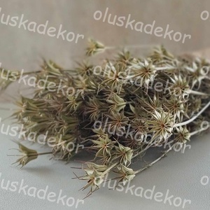 Nigella orientale, natúr, 100gr./cs., Kellékek & szerszámok, Dekorációs kellékek, Egyéb kellékek, , MESKA