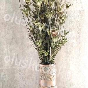 Nigella orientale, natúr szárazvirág, dekor 100gr./cs., Otthon & Életmód, Dekoráció, Virágdísz és tartó, Csokor & Virágdísz, Virágkötés, MESKA
