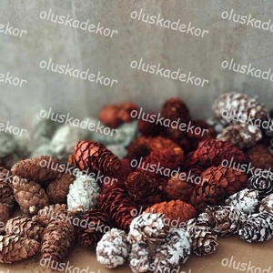 Vörösfenyő toboz, szátaztermés, natúr, menta, narancs, dekorációs alapanyag, 50gr./cs., Kellékek & szerszámok, Dekorációs kellékek, Egyéb kellékek, Virágkötés, Mindenmás, MESKA