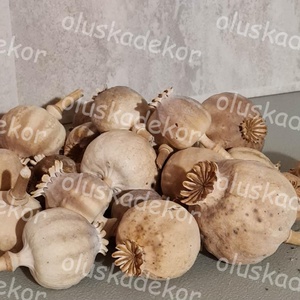 Mákfej, natúr, karácsonyi, tavaszi, nyári dekorációs száraznövény, 6db/cs. - Meska.hu