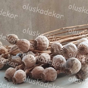 Mák, dekorációs növény, natúr, száras, szárított, 4 - 5cm fej - Meska.hu