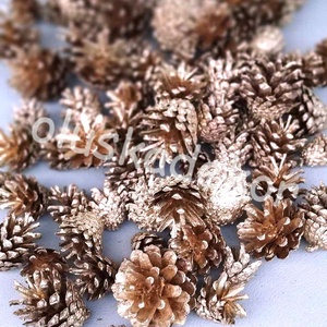 Rózsatoboz, arany, dekorációs növény, száraztermés, 5db./cs., Kellékek & szerszámok, Dekorációs kellékek, Egyéb kellékek, Virágkötés, Mindenmás, MESKA