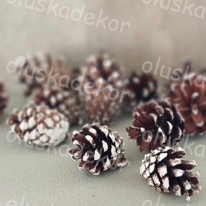 Rózsatoboz, havas, dekorációs növény, száraztermés, 5db./cs., Kellékek & szerszámok, Dekorációs kellékek, Egyéb kellékek, Virágkötés, Mindenmás, MESKA