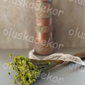 Glixia, natúr és színes, száraz dekorációs növény, nagy csokor, 650 - 750 szál - kellékek & szerszámok - dekorációs kellékek - egyéb kellékek - Meska.hu