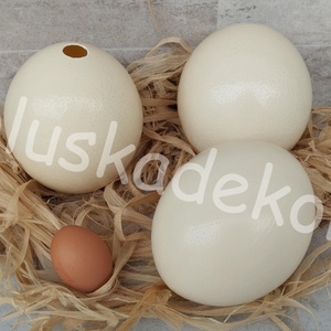 Strucctojás, strucc tojás, natúr, igazi, kifújt, fertőtlenített, dekorációs alapanyag, 15cm.  - Meska.hu