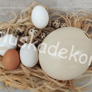 Kacsatojás, tojás, fehér, igazi, kifújt, húsvéti dekorációs alapanyag - kellékek & szerszámok - dekorációs kellékek - figurák - Meska.hu