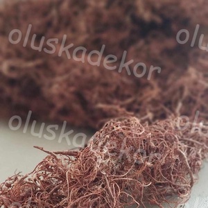 Kócos moha, Curly moos, gyökér, dekorációs száraznövény, natúr, zöld, 50gr./cs. - Meska.hu