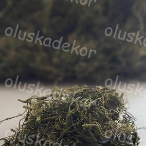Kócos moha, Curly moos, gyökér, dekorációs száraznövény, natúr, zöld, 50gr./cs. - kellékek & szerszámok - dekorációs kellékek - termések, terméscsomagok - Meska.hu