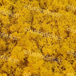 Izlandi zuzmó, Rénszarvas moha természetes, tartósított dekorációs alapanyag, sok szín, 50gr./cs. - kellékek & szerszámok - dekorációs kellékek - egyéb kellékek - Meska.hu