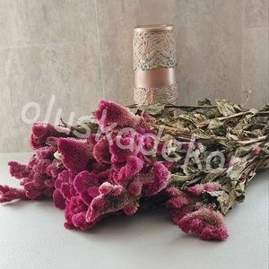 Kakastaréj, Celosia chief, száras, magenta, rózsaszín, szárazvirág, dekor, Kellékek & szerszámok, Dekorációs kellékek, Egyéb kellékek, Mindenmás, Virágkötés, MESKA