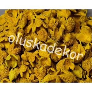 Bükk kupacs, száraztermés, nagy, gazdaságos kiszerelésben, dekorációs alapanyag - kellékek & szerszámok - dekorációs kellékek - termések, terméscsomagok - Meska.hu