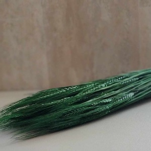 Szakállas búza, dekor búza, natúr, színes, száraznövény, esküvő - kellékek & szerszámok - dekorációs kellékek - egyéb kellékek - Meska.hu