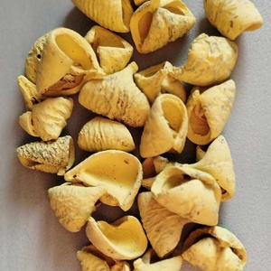 Lali, száraztermés, nagy 150gr. gazdaságos kiszerelésben, dekorációs alapanyag - kellékek & szerszámok - dekorációs kellékek - termések, terméscsomagok - Meska.hu