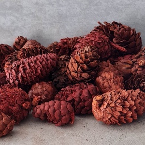 Vörösfenyő toboz, szátaztermés, natúr, menta, narancs, dekorációs alapanyag, 50gr./cs. - kellékek & szerszámok - dekorációs kellékek - termések, terméscsomagok - Meska.hu