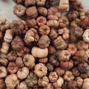Liliputi tök, putka pod, natúr és színes, száraztermés, dekorációs alapanyag, Kellékek & szerszámok, Dekorációs kellékek, Egyéb kellékek, Virágkötés, MESKA