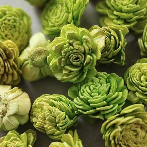 Ming boglárka, natúr, cirmos, rózsaszín, lila, dekorációs alapanyag, szárazvirág, 4cm - kellékek & szerszámok - dekorációs kellékek - egyéb kellékek - Meska.hu