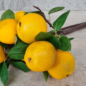 Almaág levelekkel, gyümölcsökkel, nyári, őszi, dekorációs alapanyag, 5 cm - kellékek & szerszámok - dekorációs kellékek - termések, terméscsomagok - Meska.hu