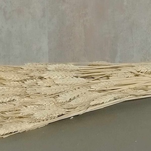 Tar búza, dekorációs búza, natúr, színes, száraznövény, esküvő, 100gr./cs., Kellékek & szerszámok, Dekorációs kellékek, Egyéb kellékek, Virágkötés, Mindenmás, MESKA