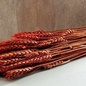 Tar búza, dekorációs búza, natúr, színes, száraznövény, esküvő, 100gr./cs. - kellékek & szerszámok - dekorációs kellékek - egyéb kellékek - Meska.hu
