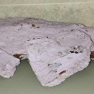 Fenyőkéreg csomag, dekorfa, kreatív, hobby dekorációs alapanyag, 500gr./cs. - Meska.hu