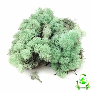 Izlandi zuzmó - hamvas zöld 85 g, Kellékek & szerszámok, Dekorációs kellékek, Egyéb kellékek, , MESKA