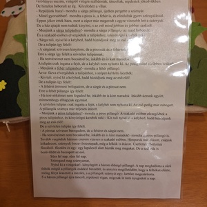 Mesepárna - A három pillangó - játék & sport - bábok - báb készlet - Meska.hu