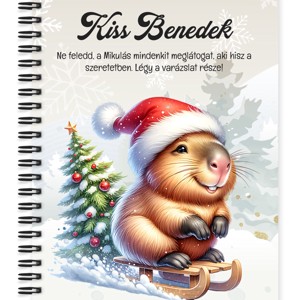 Személyre szabható - Vidám szánkós capybara mintás A5-ös füzet, Otthon & Életmód, Papír, írószer, Jegyzetfüzet & Napló, , MESKA