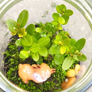 Kézműves florárium őzikével � mohás mini üvegkert  - otthon & életmód - dekoráció - asztal és polc dekoráció - florárium, terrárium - Meska.hu