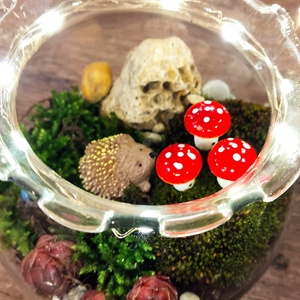 Kézműves florárium sünivel � mini üvegkert LED fényekkel ?�, Otthon & Életmód, Dekoráció, Asztal és polc dekoráció, Florárium, terrárium, , MESKA