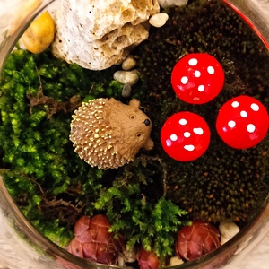 Kézműves florárium sünivel � mini üvegkert LED fényekkel � - otthon & életmód - dekoráció - asztal és polc dekoráció - florárium, terrárium - Meska.hu