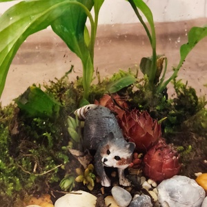 Kézzel készült florárium (mini üvegkert) ?, Otthon & Életmód, Dekoráció, Asztal és polc dekoráció, Florárium, terrárium, , MESKA