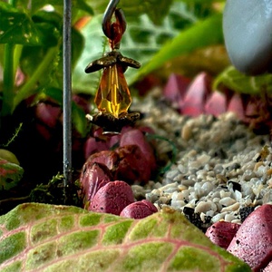 Lámpionos ösvény - 3 L-es önfenntartó florárium - otthon & életmód - dekoráció - asztal és polc dekoráció - florárium, terrárium - Meska.hu