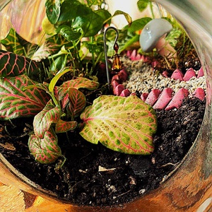 Lámpionos ösvény - 3 L-es önfenntartó florárium, Otthon & Életmód, Dekoráció, Asztal és polc dekoráció, Florárium, terrárium, Üvegművészet, Mindenmás, MESKA