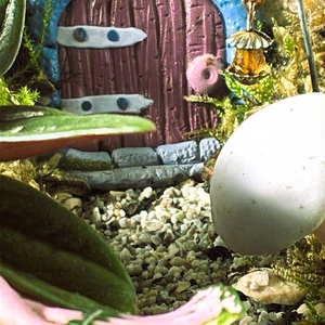 Manólak a palackban - 5 L-es önfenntartó florárium - otthon & életmód - dekoráció - asztal és polc dekoráció - florárium, terrárium - Meska.hu