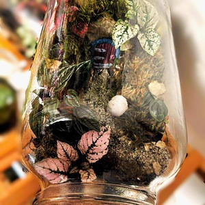 Manólak a palackban - 5 L-es önfenntartó florárium - otthon & életmód - dekoráció - asztal és polc dekoráció - florárium, terrárium - Meska.hu