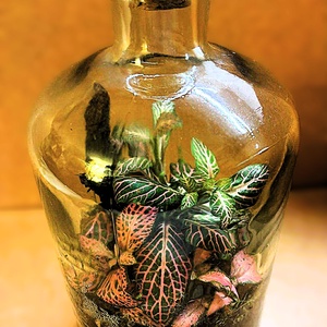 Fakéreggel feldobva - 1 L-es önfenntartó florárium - otthon & életmód - dekoráció - asztal és polc dekoráció - florárium, terrárium - Meska.hu