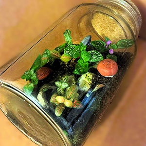 Gombákkal díszítve - 2 L-es önfenntartó florárium - otthon & életmód - dekoráció - asztal és polc dekoráció - florárium, terrárium - Meska.hu