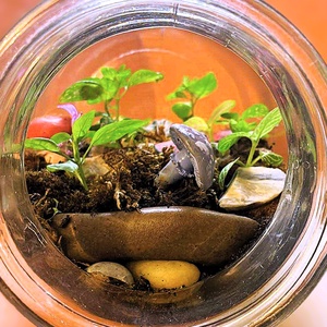 Gombákkal díszítve - 2 L-es önfenntartó florárium - Meska.hu