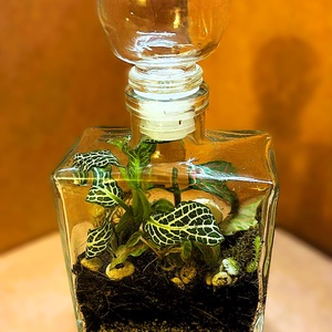 Parfümös üvegben - 2 dl-es önfenntartó florárium - Meska.hu